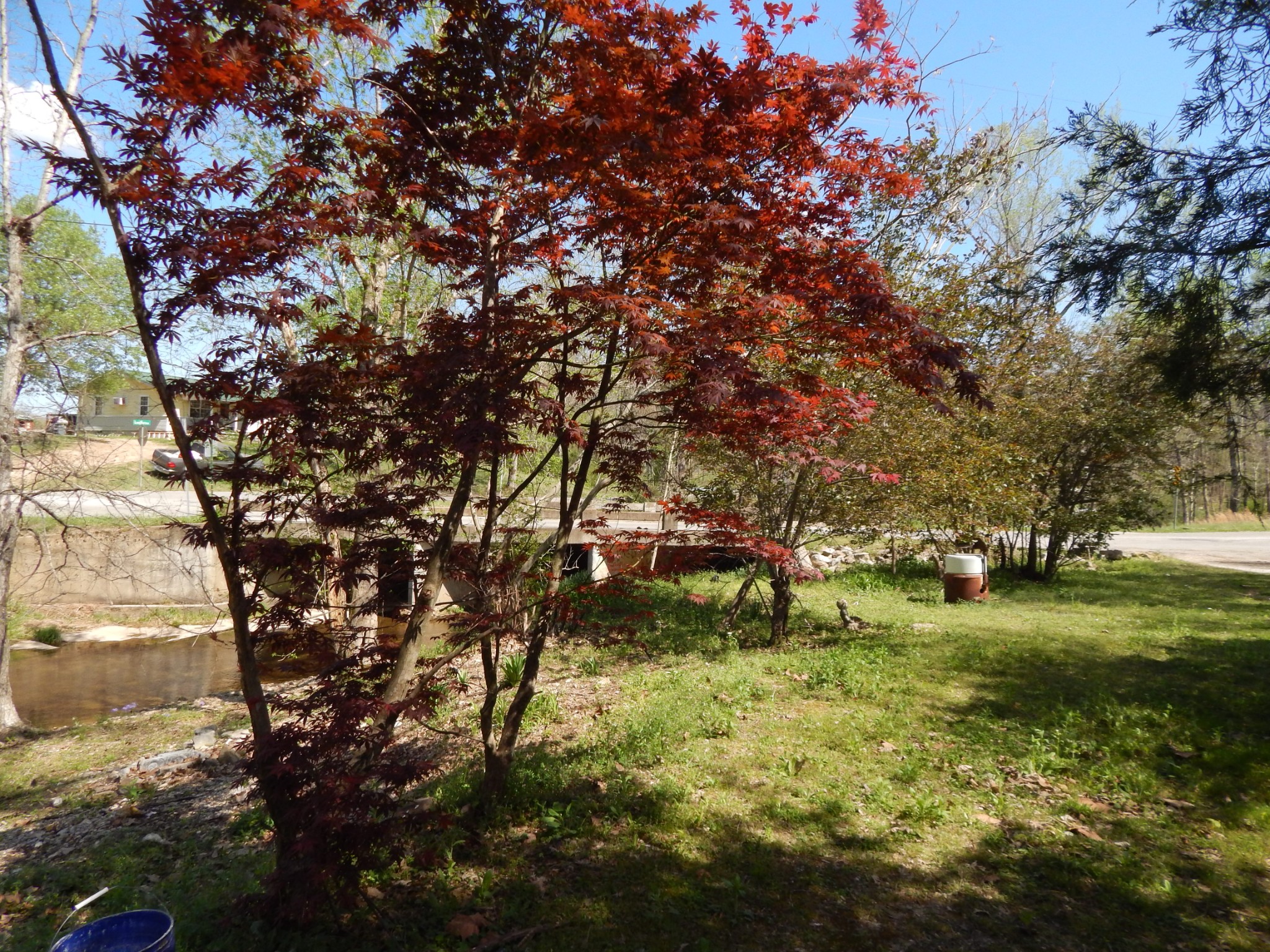 999 Kilburn Hollow Road Waynesboro, TN 38485 - Photo 8 of 61