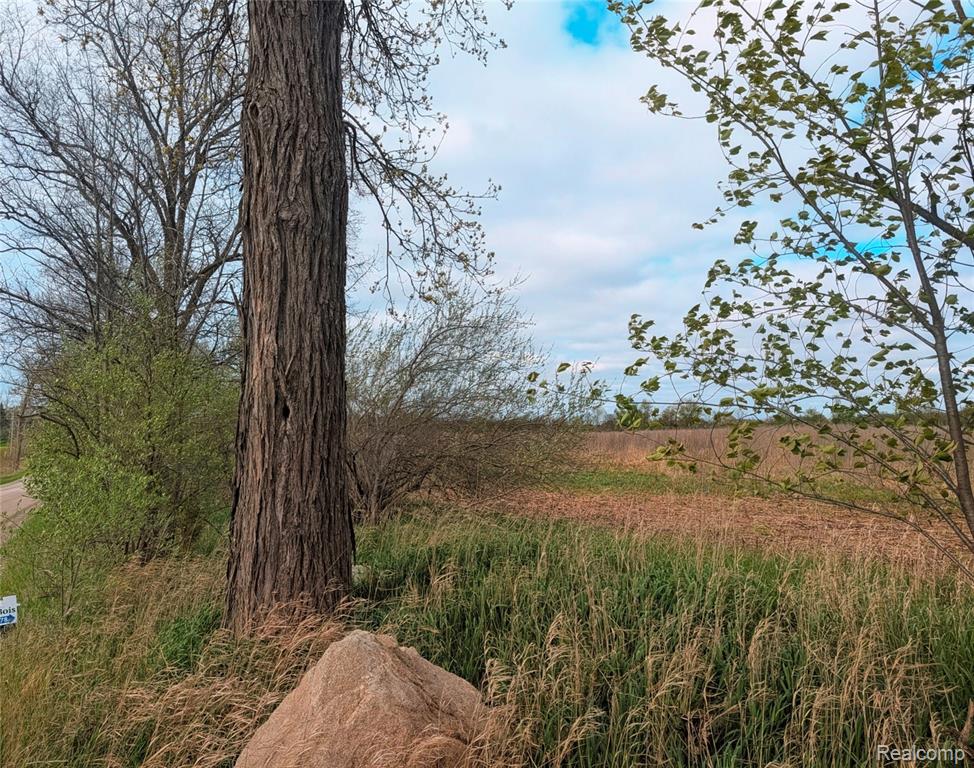 Parcel E Hogan Road Linden, MI 48451 - Photo 17 of 22