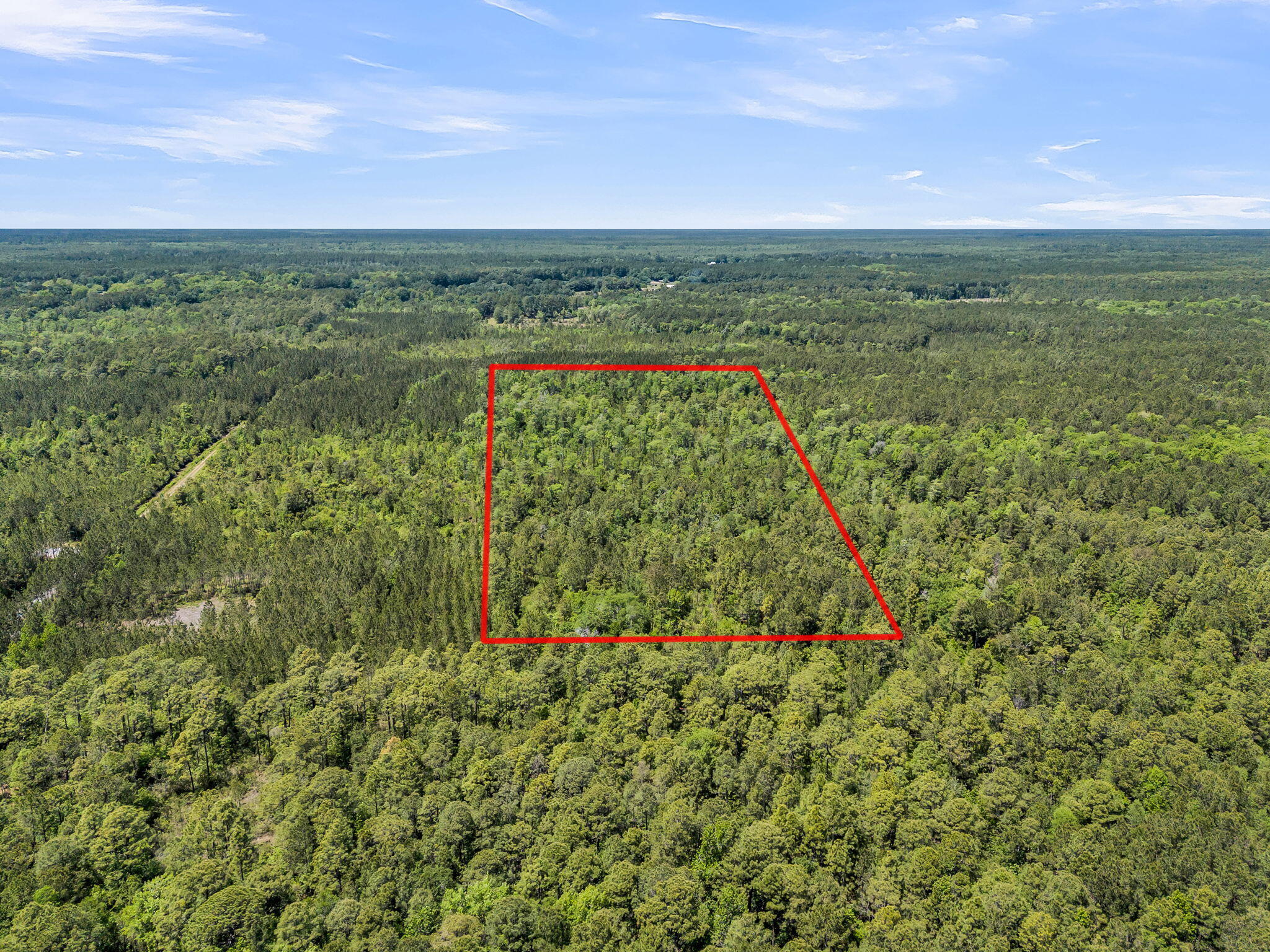 0 Deas Hill Road McClellanville, SC 29458 - Photo 13 of 20