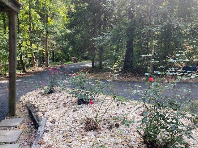 5114 Cottage Road Blackstone, VA 23824 - Photo 19 of 59 Gallery Image 19