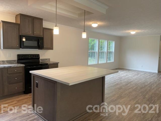 1471 Howard Gap Loop Road Flat Rock, NC 28731 - Photo 11 of 24 a kitchen with a stove a sink and a refrigerator