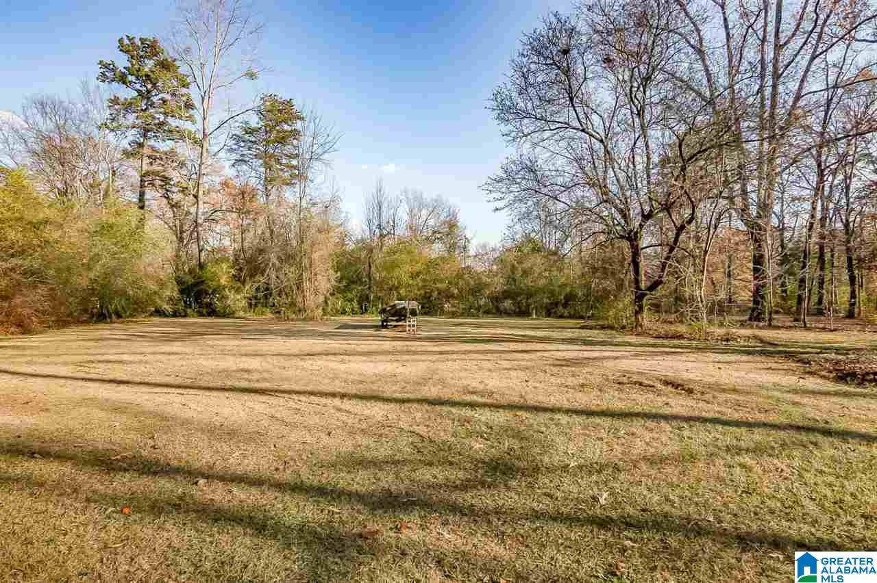 217 Drew Avenue Mulga, AL 35118 - Photo 37 of 45