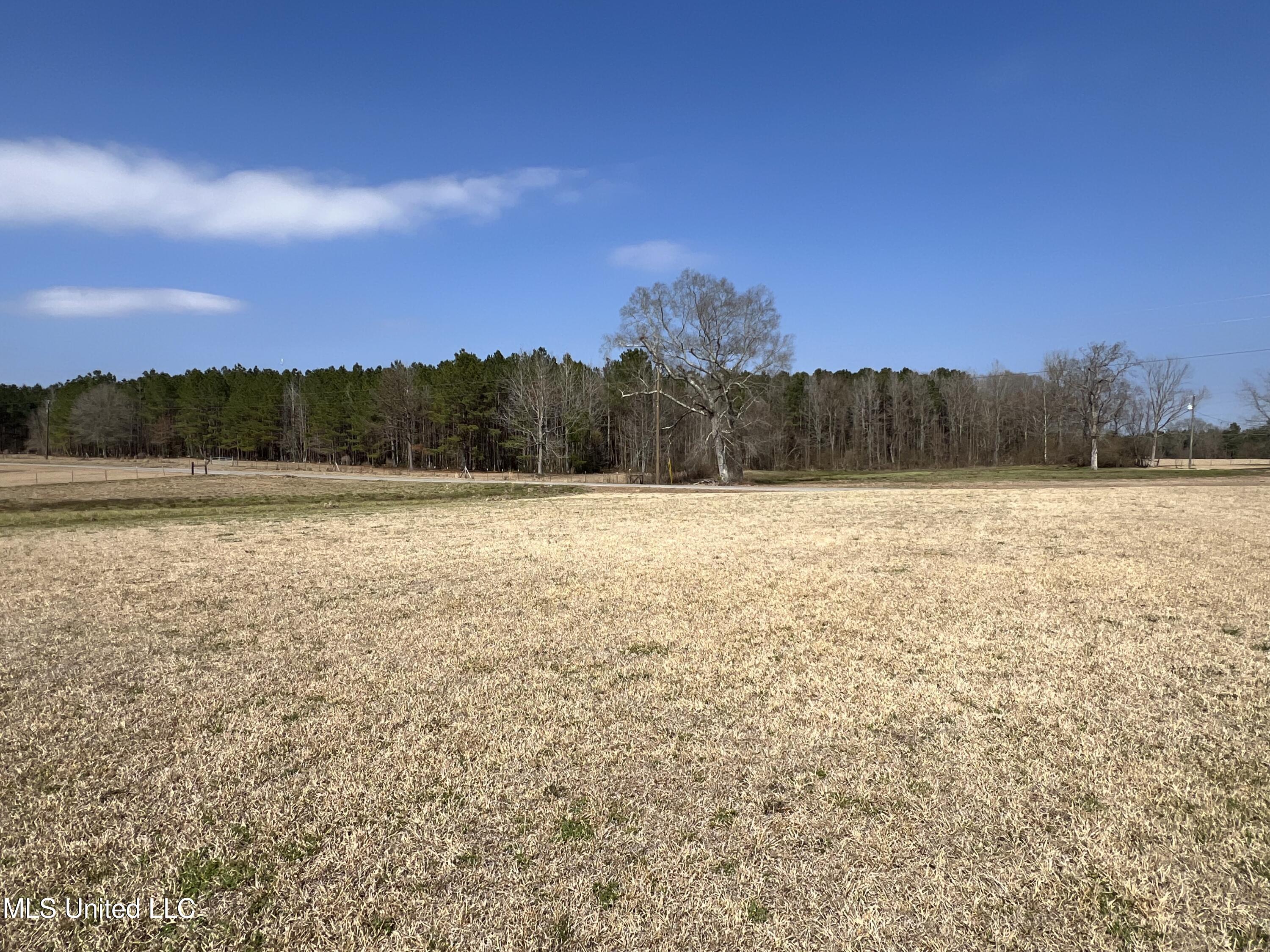 1261 Brumfield Road Southwest Bogue Chitto, MS 39629 - Photo 16 of 19 IMG_3421