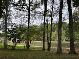 160 Tree Frog Lane Benton, TN 37307 - Photo 11 of 40 IMG_6852