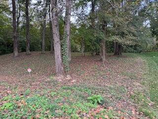 160 Tree Frog Lane Benton, TN 37307 - Photo 13 of 40 IMG_6817