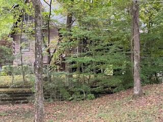 160 Tree Frog Lane Benton, TN 37307 - Photo 20 of 40 IMG_6859