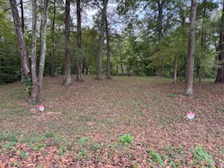160 Tree Frog Lane Benton, TN 37307 - Photo 2 of 40 IMG_6814