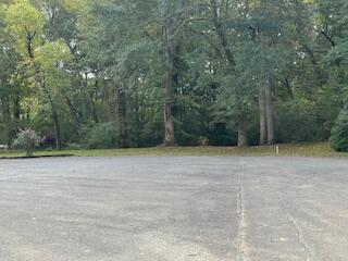 160 Tree Frog Lane Benton, TN 37307 - Photo 25 of 40 IMG_6867