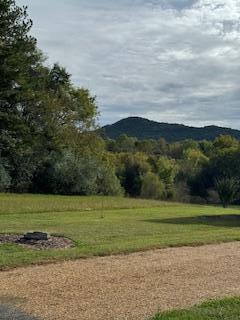 160 Tree Frog Lane Benton, TN 37307 - Photo 27 of 40 IMG_6872