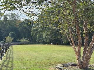 160 Tree Frog Lane Benton, TN 37307 - Photo 28 of 40 IMG_6873