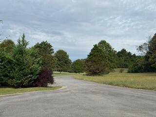 160 Tree Frog Lane Benton, TN 37307 - Photo 29 of 40 IMG_6874