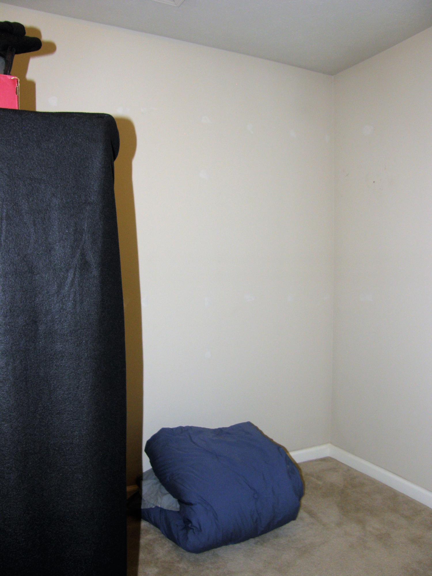 9290 Livengood Road Baroda, MI 49101 - Photo 31 of 72 9290_Livengood_31_Walk-inCloset