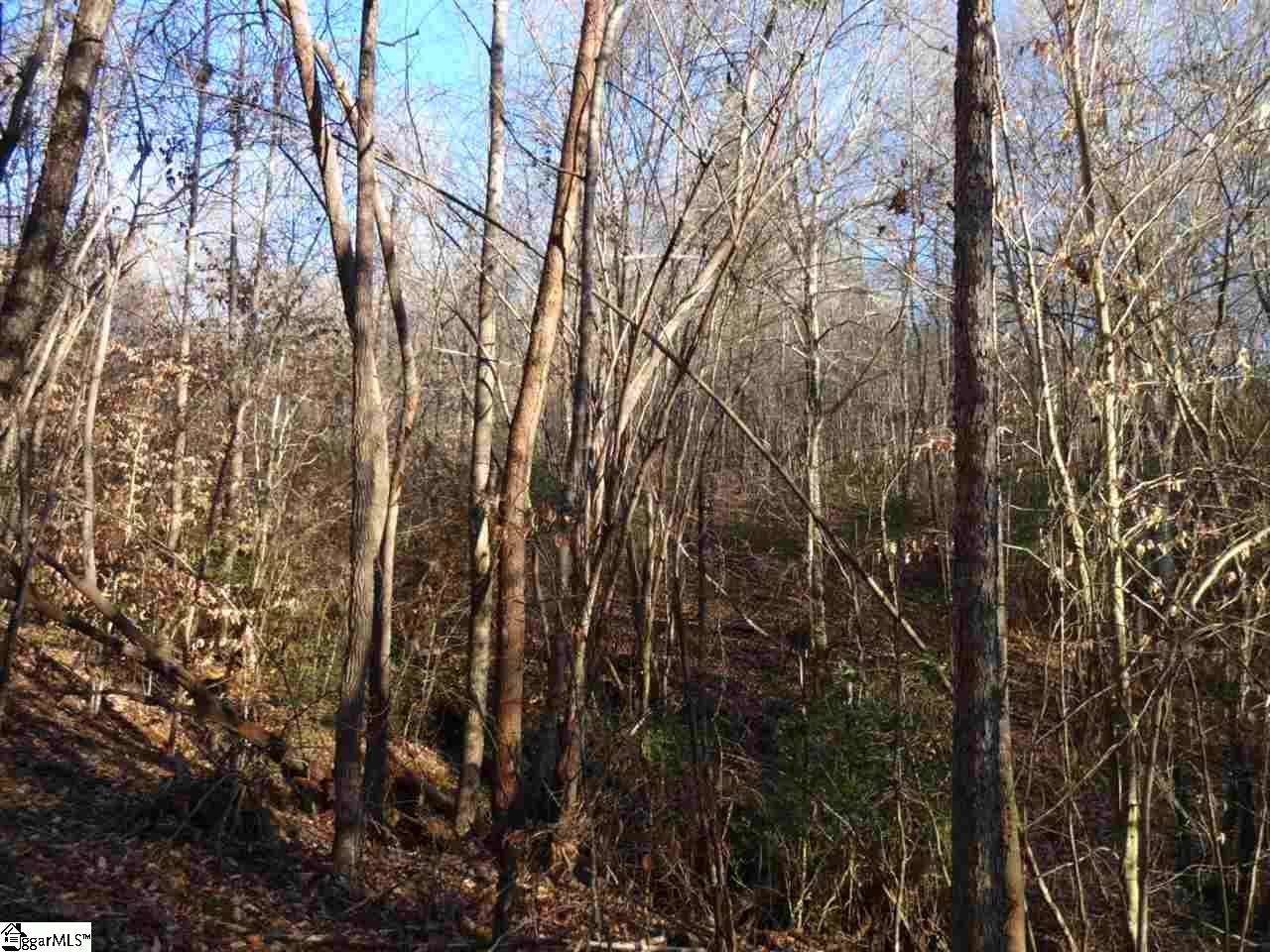 181 Sleepy Hollow Road Westminster, SC 29693 - Photo 17 of 30 Gallery Image 17