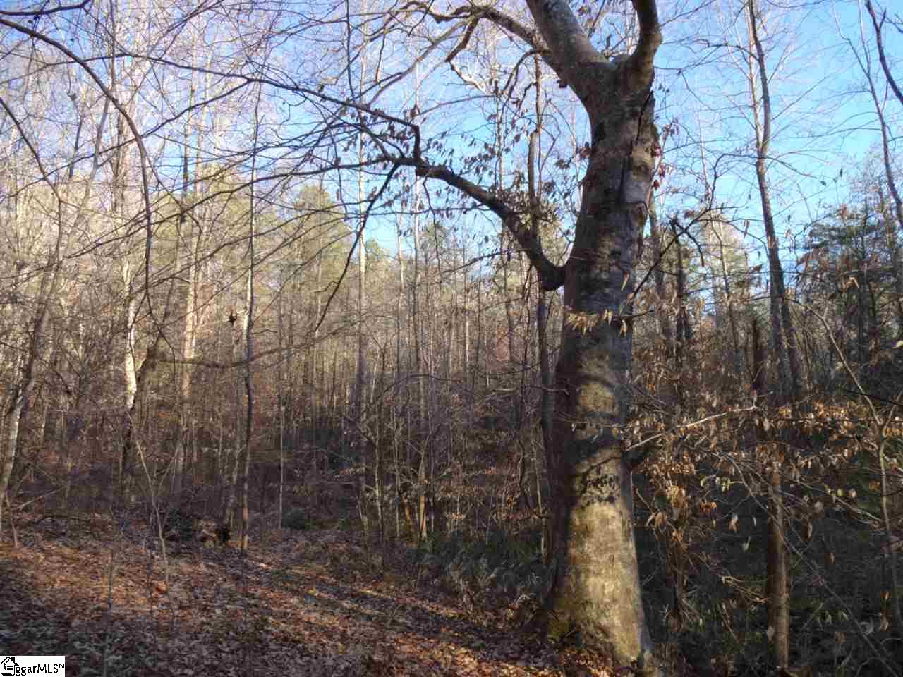 181 Sleepy Hollow Road Westminster, SC 29693 - Photo 19 of 30 Gallery Image 19