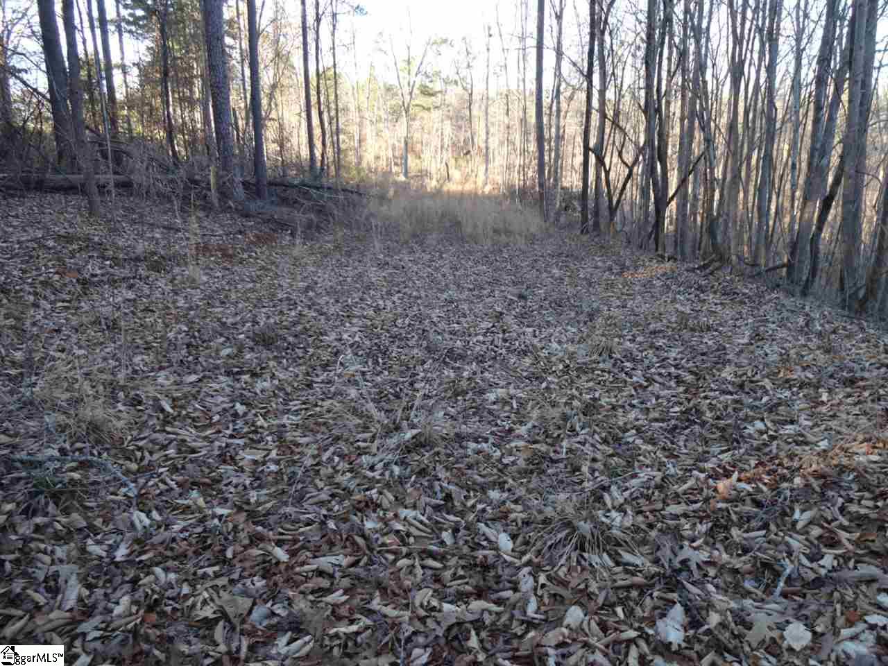 181 Sleepy Hollow Road Westminster, SC 29693 - Photo 20 of 30 Gallery Image 20