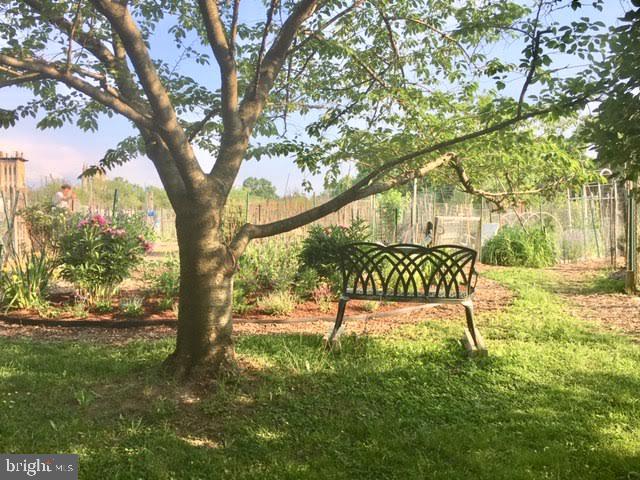 3871 Porter Street Northwest, Unit E293 Washington, DC 20016 - Photo 37 of 57 Newark St. community garden