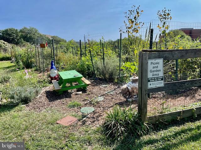 3871 Porter Street Northwest, Unit E293 Washington, DC 20016 - Photo 39 of 57 Newark St. community garden