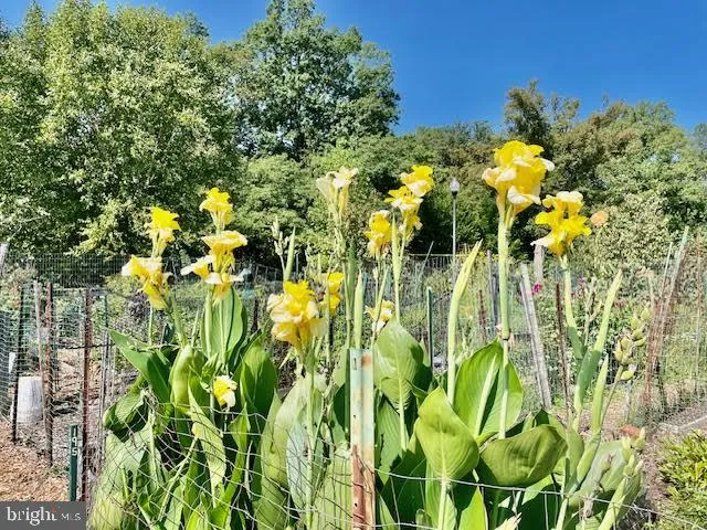 $2,950 | 3871 Porter Street Northwest, Unit E293, Washington, DC 20016