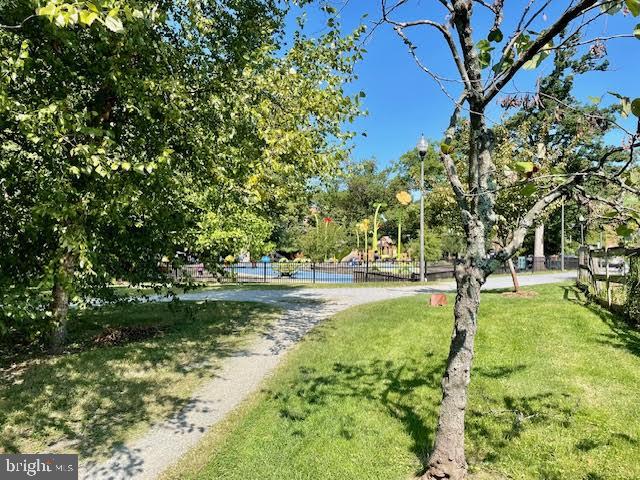 3871 Porter Street Northwest, Unit E293 Washington, DC 20016 - Photo 43 of 57 Community dog park