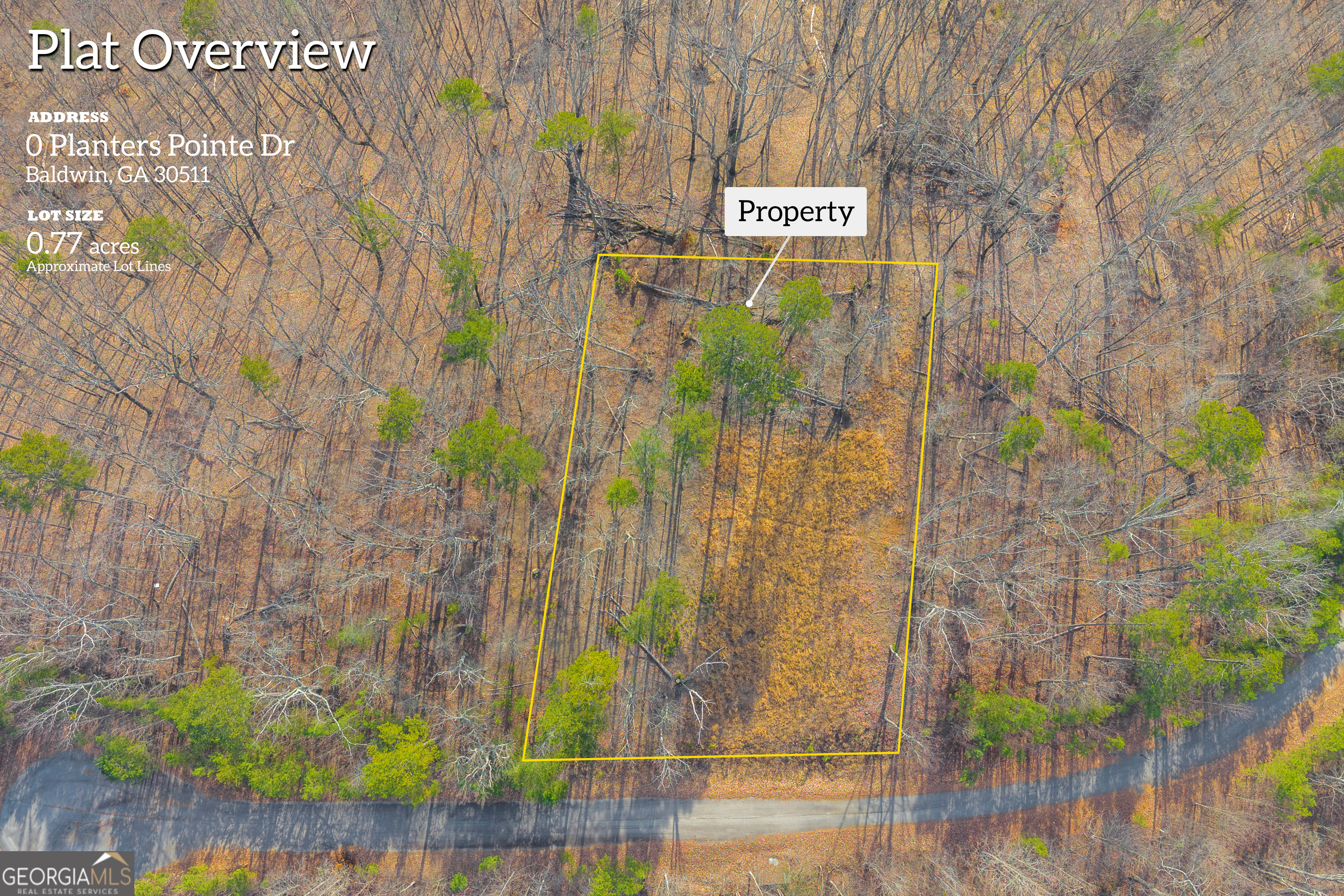 0 Planters Pointe Drive Baldwin, GA 30511 - Photo 4 of 7