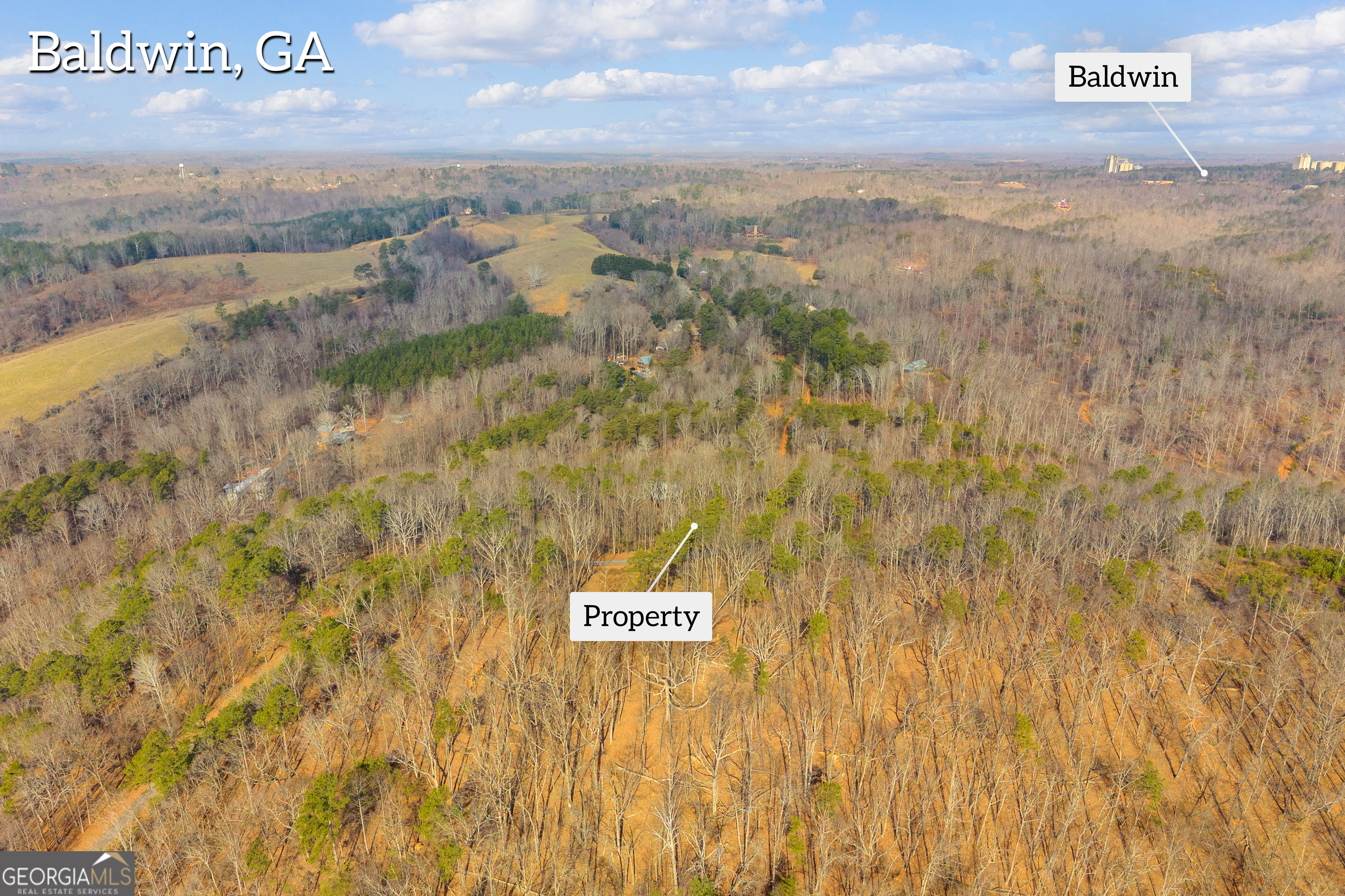 0 Planters Pointe Drive Baldwin, GA 30511 - Photo 5 of 7