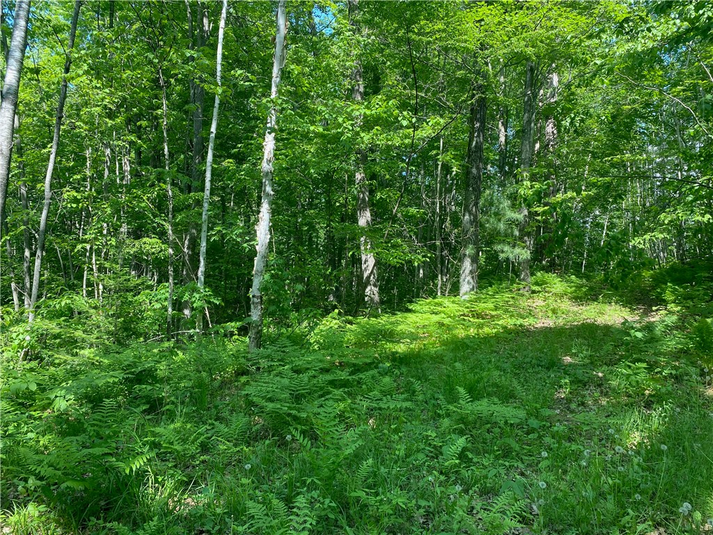Lot 7 Secluded Trail Hayward, WI 54843 - Photo 26 of 41