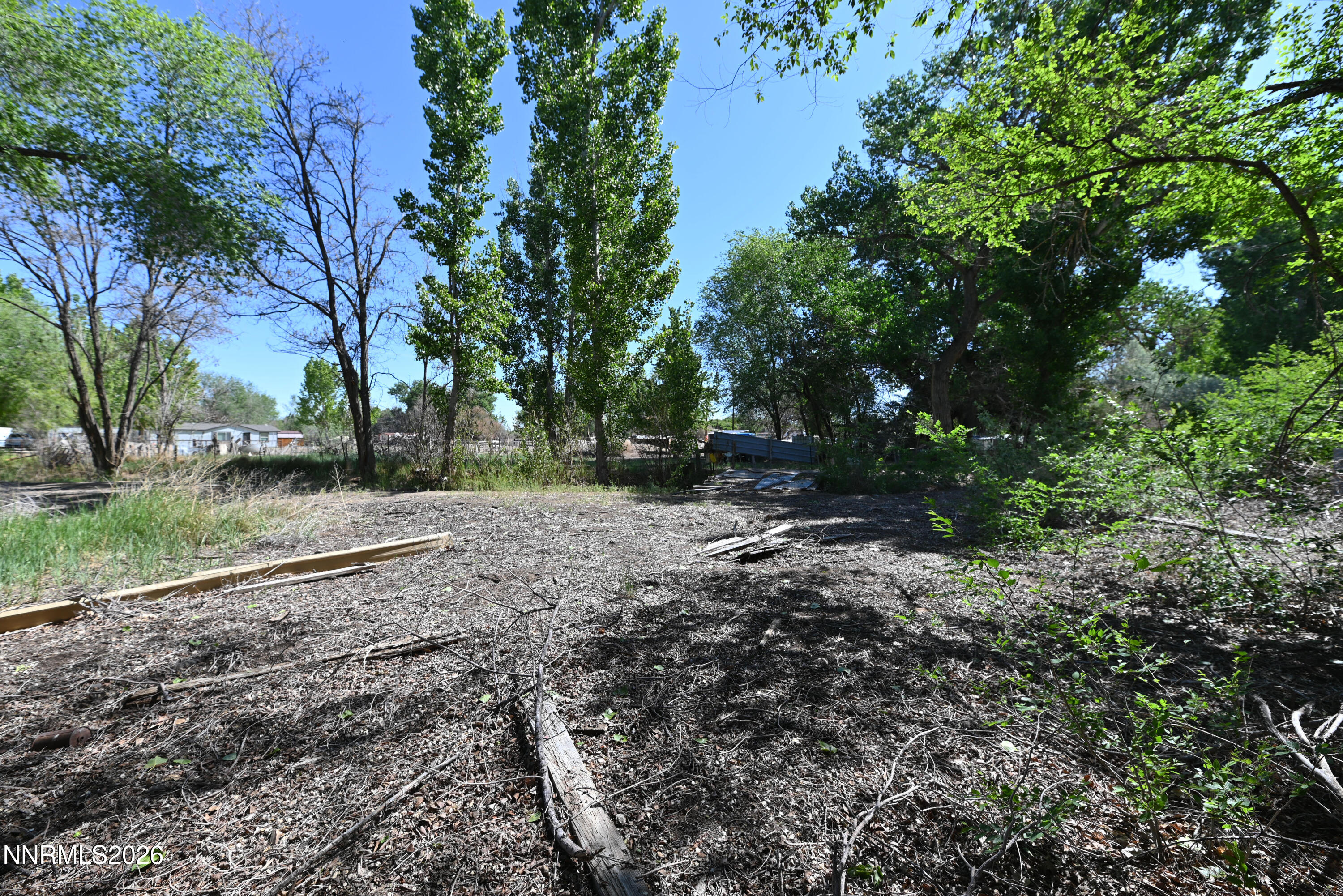 1714 Shoffner Lane Fallon, NV 89406 - Photo 1 of 6 a view of backyard with green space