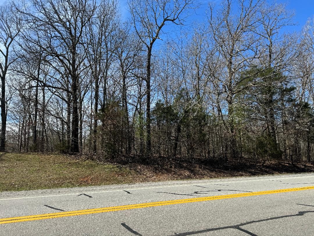 0 Main Street Huntland, TN 37345 - Photo 2 of 5 a view of a swimming pool with a patio