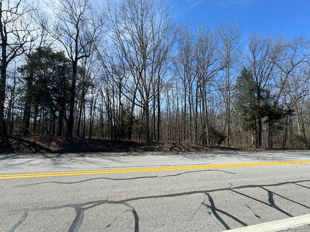 0 Main Street Huntland, TN 37345 - Photo 3 of 5 a view of swimming pool with umbrella and trees in the background