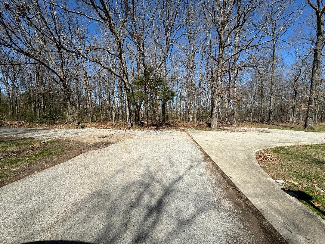 0 Main Street Huntland, TN 37345 - Photo 5 of 5 a view of outdoor space with trees