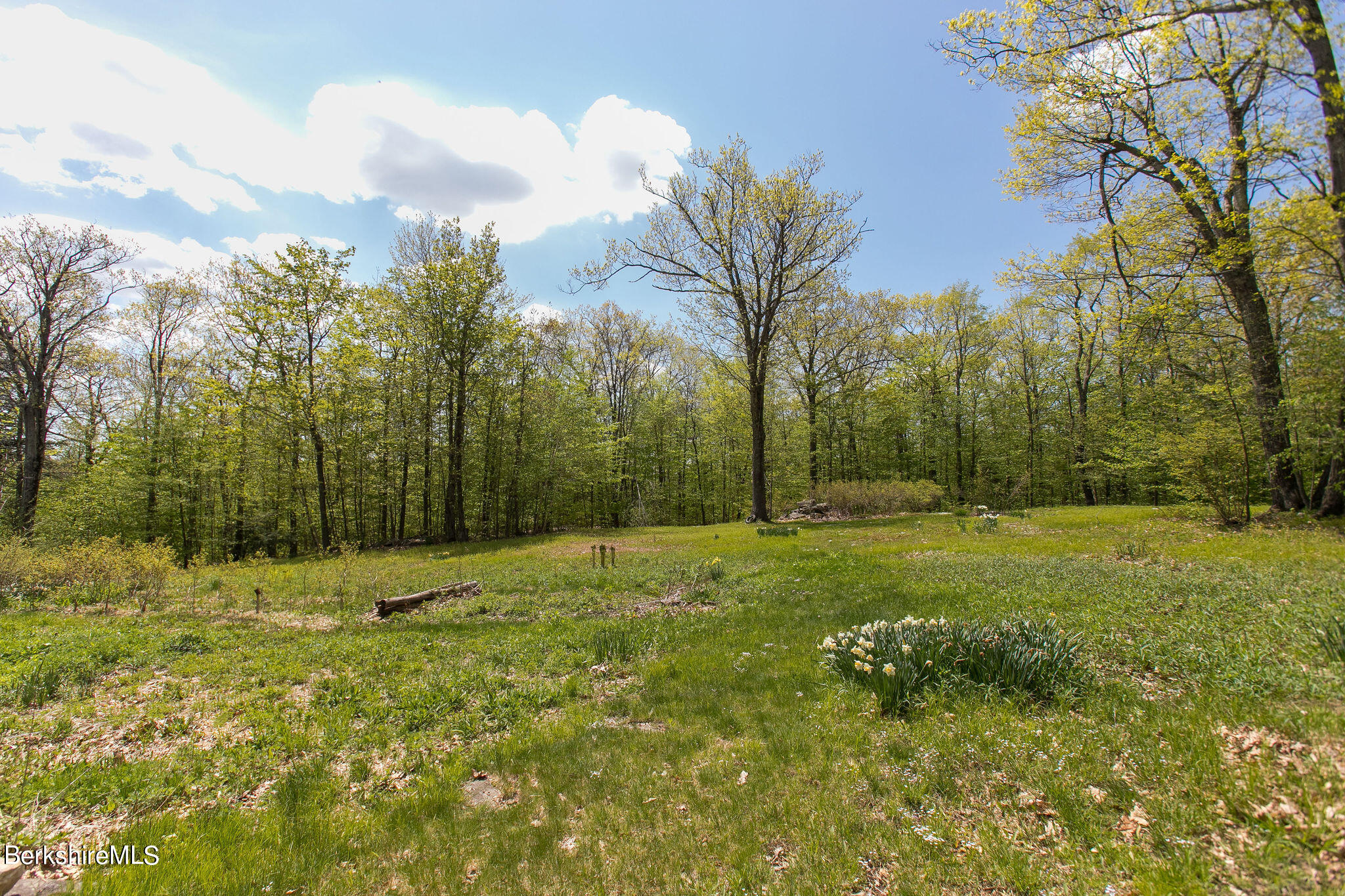 174 Longmountain Road Otis, MA 01253 - Photo 39 of 45 Meadow