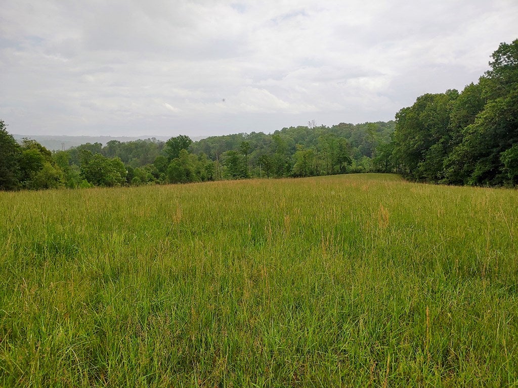 Tbd Ridge Road, Unit TRACT 3 Austinville, VA 24312 - Photo 5 of 19 Gallery Image 5
