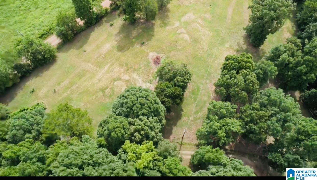 1522 St Mary Road Lincoln, AL 35096 - Photo 45 of 46