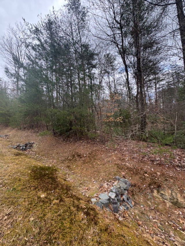 16 R Leatherwood Mountain Road Cherry Log, GA 30522 - Photo 11 of 13 Gallery Image 11