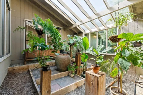 a view of a porch with chairs and a potted plant