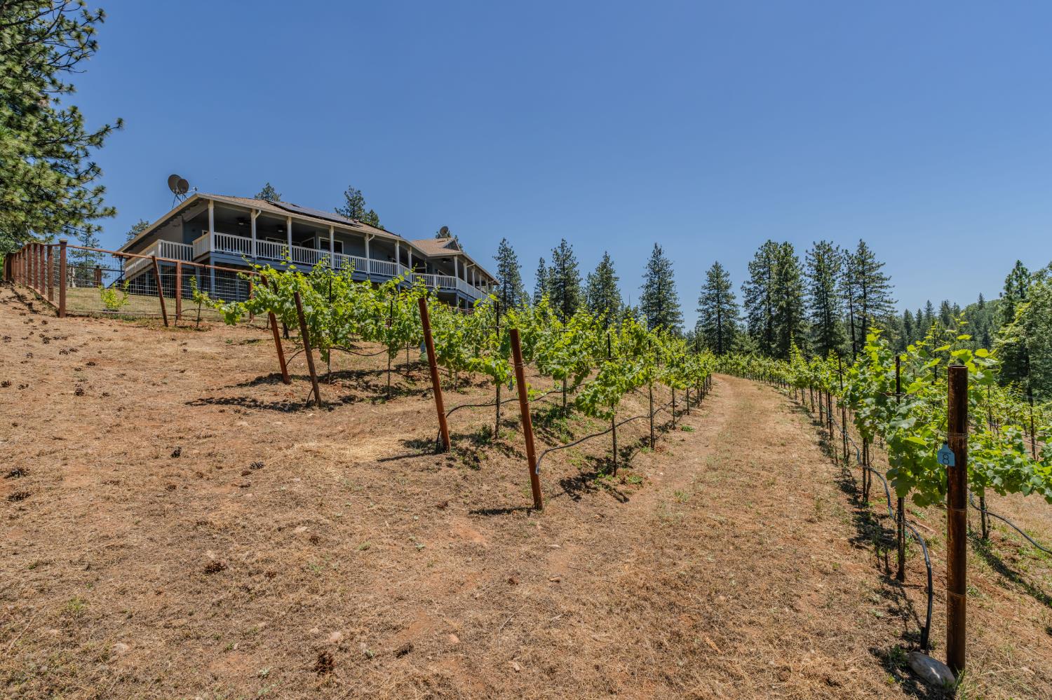 18591 Ponderosa Hills Road Volcano, CA 95689 - Photo 28 of 92