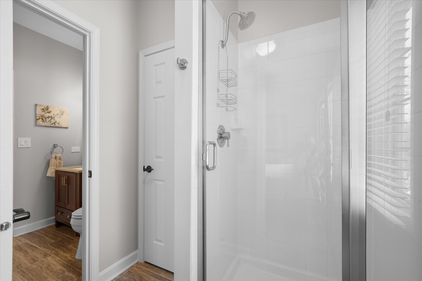 1911 Wicklow Road Naperville, IL 60564 - Photo 17 of 62 Gallery Image 17