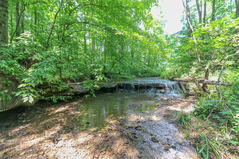 0 Ellis Road Laurelville, OH 43135 - Photo 11 of 41