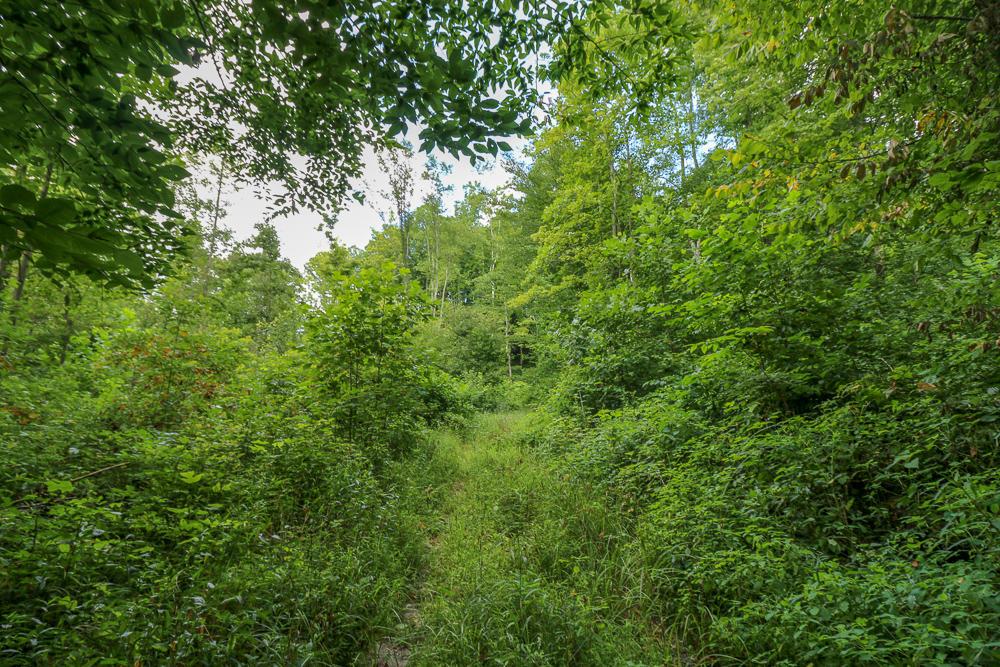0 Ellis Road Laurelville, OH 43135 - Photo 19 of 41