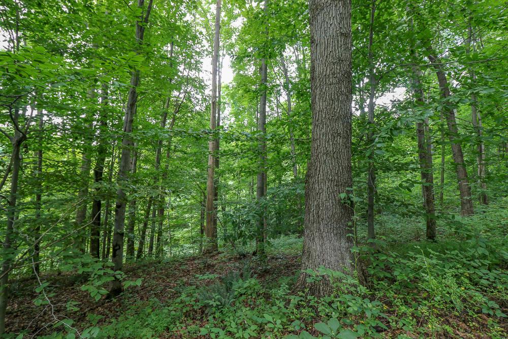 0 Ellis Road Laurelville, OH 43135 - Photo 20 of 41