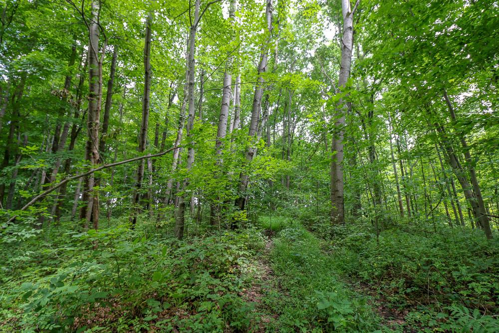 0 Ellis Road Laurelville, OH 43135 - Photo 21 of 41