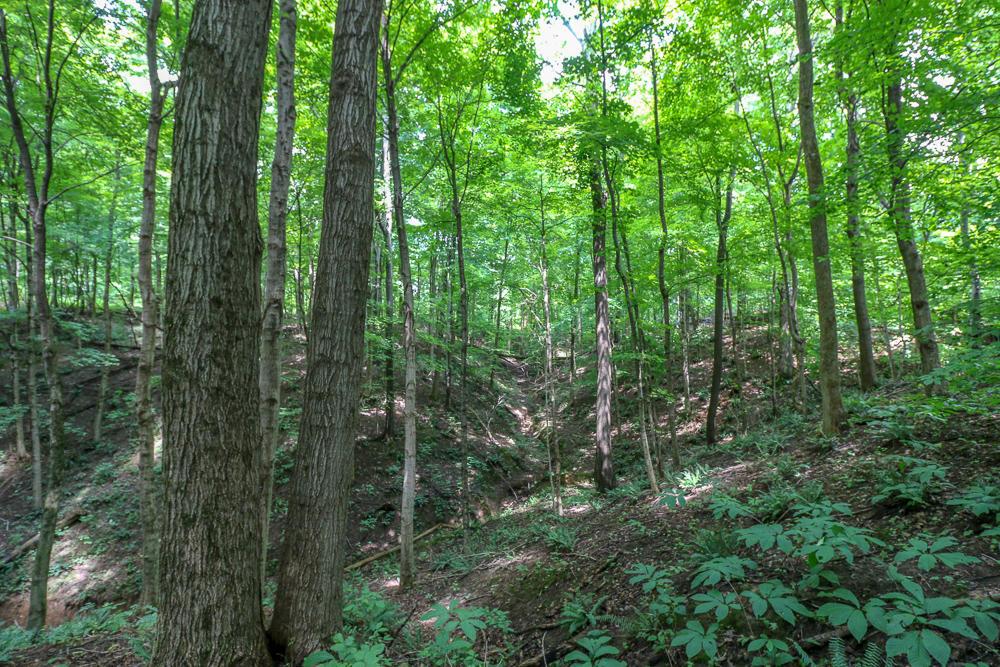 0 Ellis Road Laurelville, OH 43135 - Photo 24 of 41