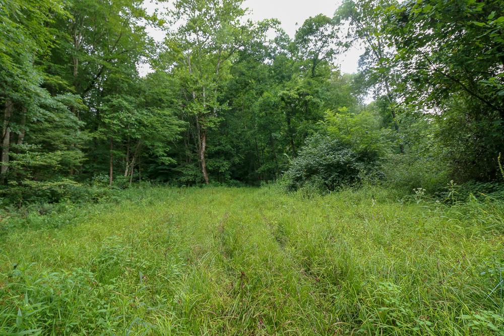 0 Ellis Road Laurelville, OH 43135 - Photo 27 of 41