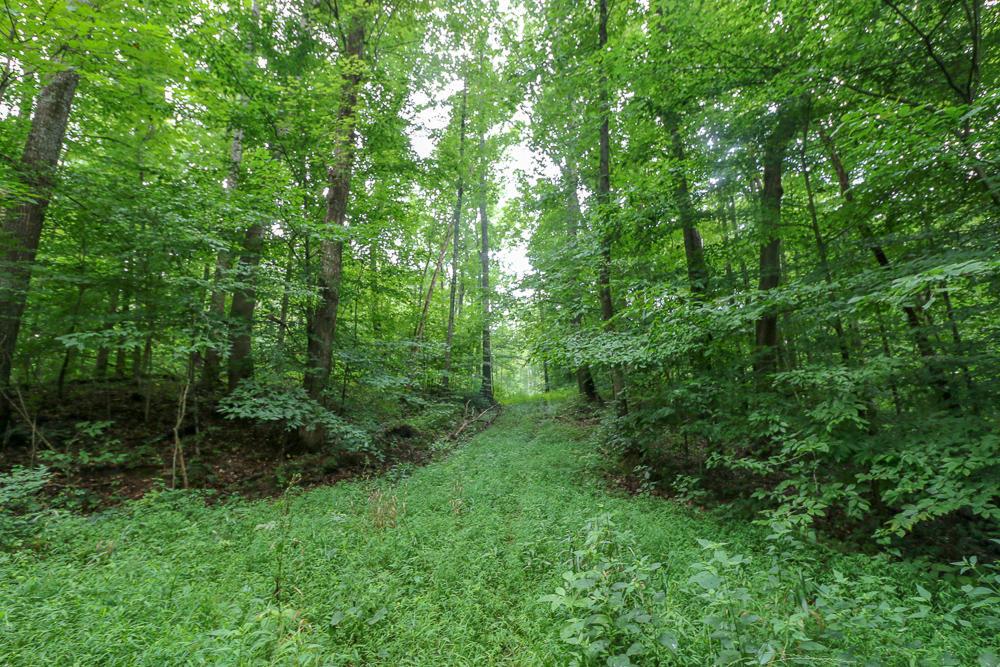 0 Ellis Road Laurelville, OH 43135 - Photo 29 of 41