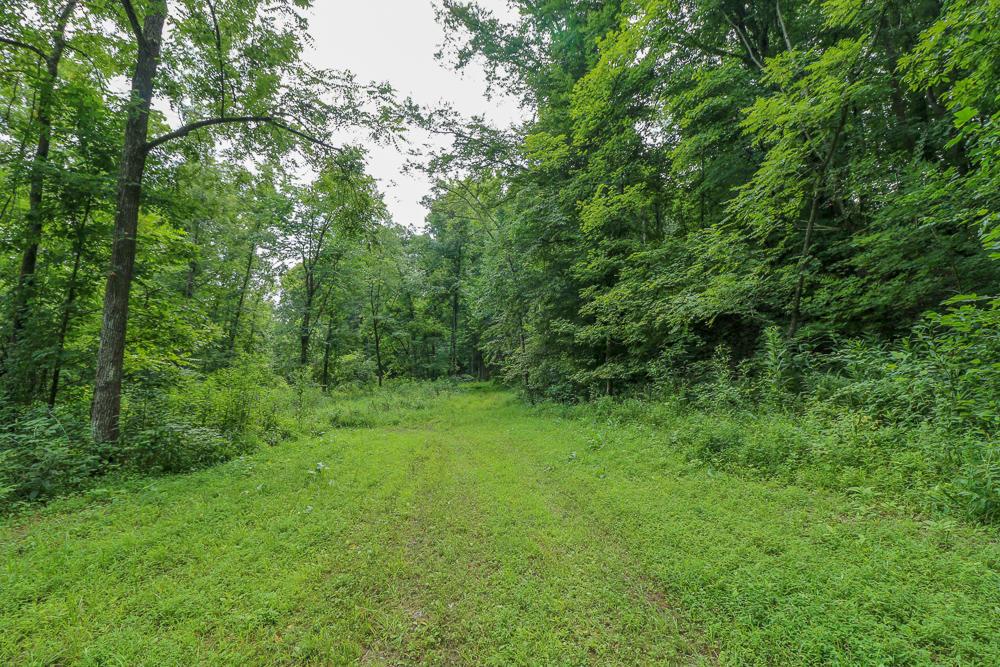 0 Ellis Road Laurelville, OH 43135 - Photo 4 of 41