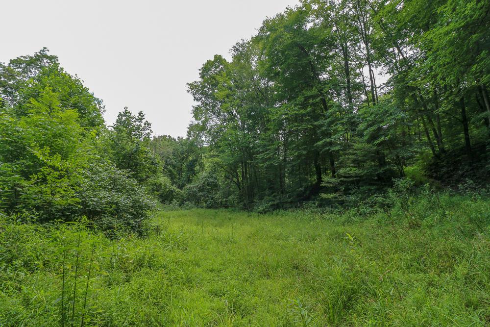 0 Ellis Road Laurelville, OH 43135 - Photo 5 of 41