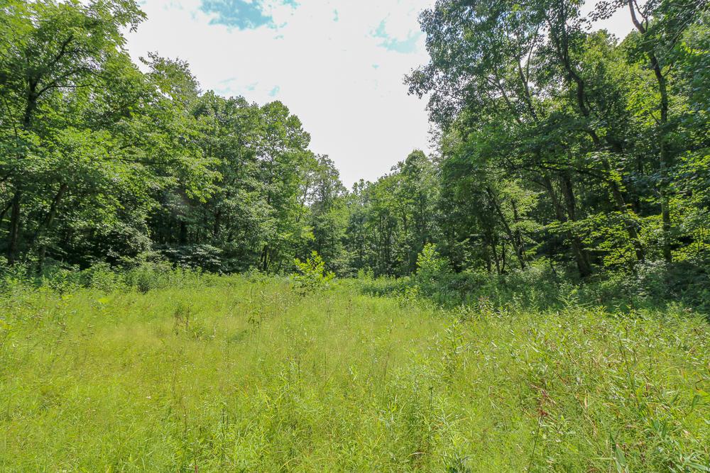 0 Ellis Road Laurelville, OH 43135 - Photo 8 of 41