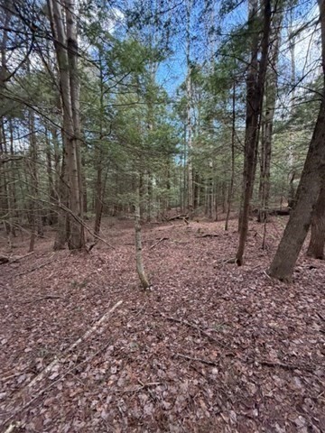 0 Number 9 Road Charlemont, MA 01339 - Photo 6 of 14 a backyard of a house with lots of green space
