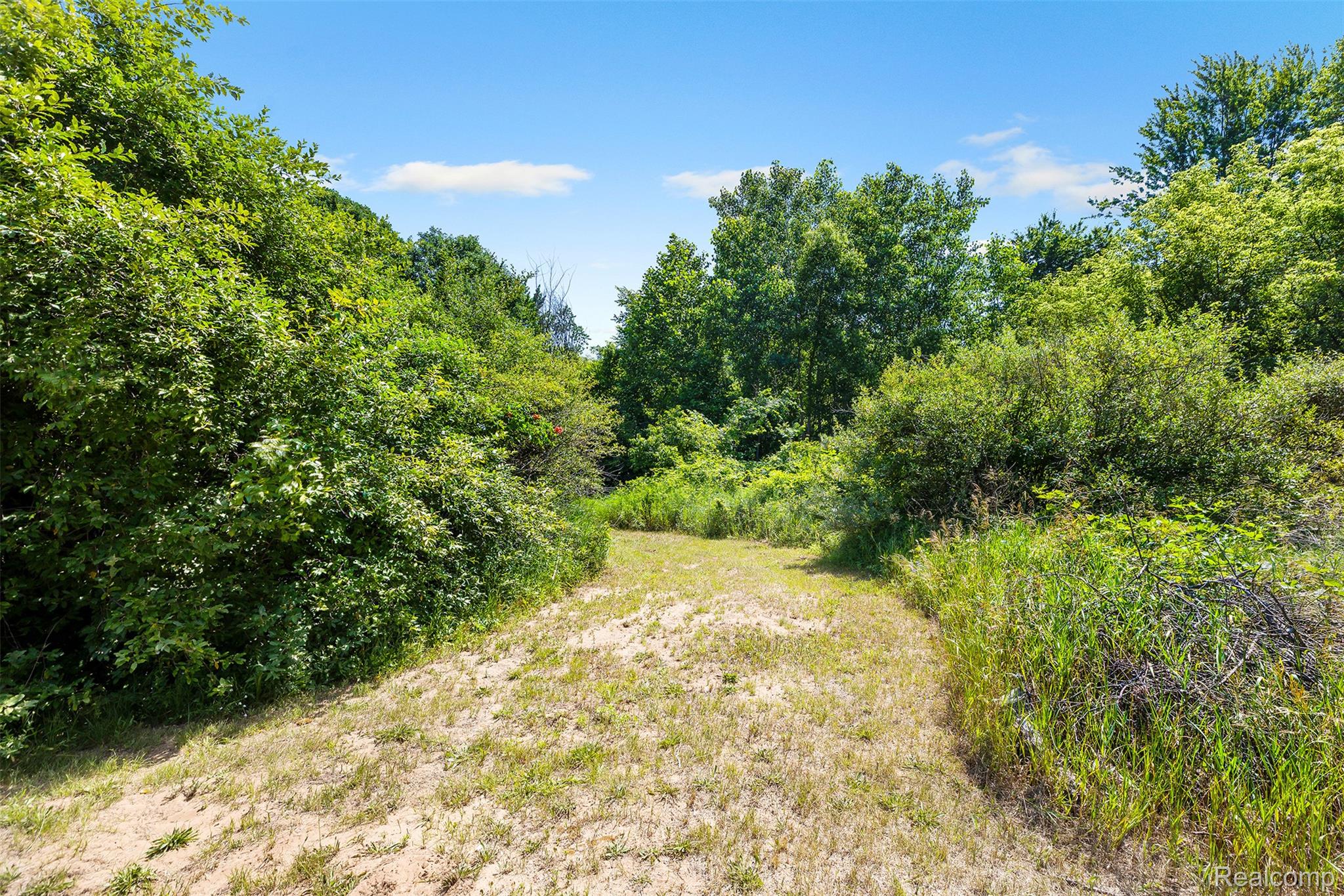 27901 Brandes Road Flat Rock, MI 48134 - Photo 29 of 38 Expansive natural landscape with a defined pathway, surrounded by dense green foliage and mature trees