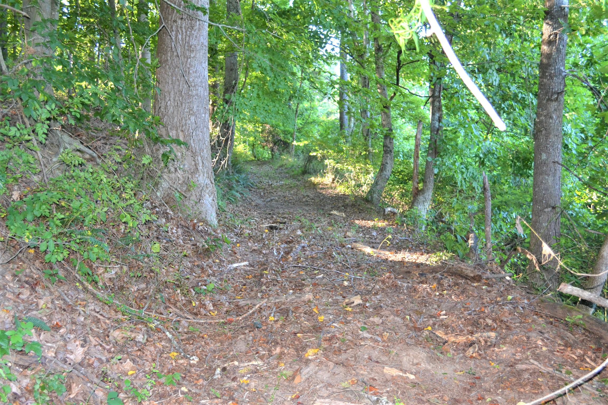 Spring Street Ronceverte, WV 24970 - Photo 1 of 12 Gallery Image 1